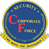 SecureHRMS Logo